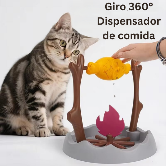 CatSpin360
